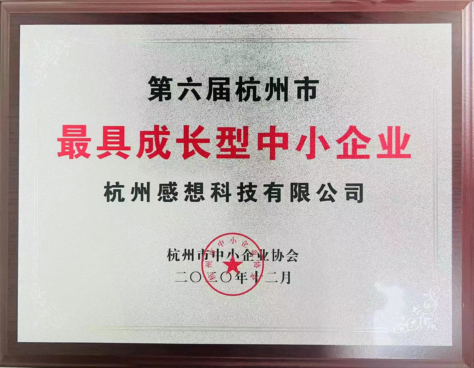 杭州市最具成长型中小企业（感想科技）